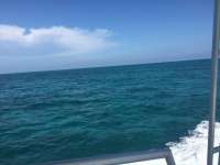 Great day of scuba diving in Key Largo with Rainbow Reef on snapper ledge tropical legend 2018 04 08 r5775 1