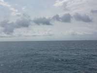 Great day of scuba diving in Key Largo with Rainbow Reef on snapper ledge tropical legend 2018 04 27 r5879 1
