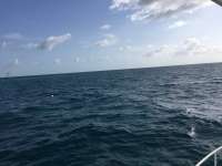 Great day of scuba diving in Key Largo with Rainbow Reef on spanish anchor tropical legend 2018 04 13 r5797 1