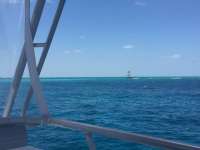 Great day of scuba diving in Key Largo with Rainbow Reef on spanish anchor tropical odyssey 2018 04 16 r5815 1