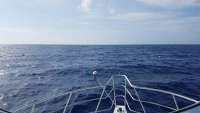 Great day of scuba diving in Key Largo with Rainbow Reef on spiegel grove tropical adventure 2018 04 23 r5859 1