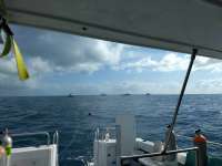 Great day of scuba diving in Key Largo with Rainbow Reef on spiegel grove tropical explorer 2018 04 14 r5806 1