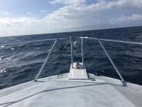 Great day of scuba diving in Key Largo with Rainbow Reef on spiegel grove tropical explorer 2018 04 22 r5849 1