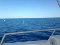 Great day of scuba diving in Key Largo with Rainbow Reef on spiegel grove tropical odyssey 2018 04 26 r5874 1