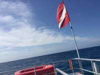 Great day of scuba diving in Key Largo with Rainbow Reef on uscgc duane tropical odyssey 2018 04 16 r5813 1