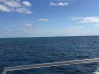 Great day of scuba diving in Key Largo with Rainbow Reef on winch hole tropical legend 2018 04 18 r5823 1