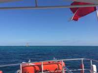 Great day of scuba diving in Key Largo with Rainbow Reef on winch hole tropical legend 2018 04 19 r5829 1