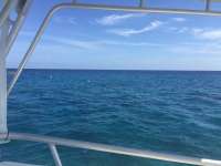 Great day of scuba diving in Key Largo with Rainbow Reef on winch hole tropical legend 2018 04 21 r5848 1