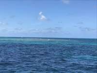 Great day of scuba diving in Key Largo with Rainbow Reef on banana patch tropical serenity 2018 08 14 r6835 1