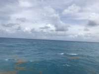 Great day of scuba diving in Key Largo with Rainbow Reef on benwood wreck tropical adventure 2018 08 03 r6727 1