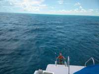 Great day of scuba diving in Key Largo with Rainbow Reef on benwood wreck tropical adventure 2018 08 06 r6760 1