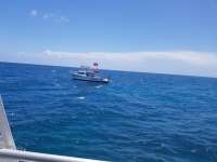 Great day of scuba diving in Key Largo with Rainbow Reef on benwood wreck tropical destiny 2018 08 15 r6842 1