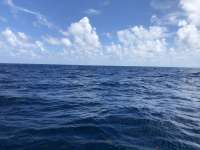 Great day of scuba diving in Key Largo with Rainbow Reef on benwood wreck tropical explorer 2018 08 04 r6738 1