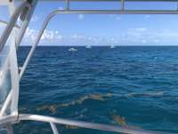 Great day of scuba diving in Key Largo with Rainbow Reef on benwood wreck tropical legend 2018 08 05 r6746 1