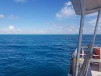 Great day of scuba diving in Key Largo with Rainbow Reef on benwood wreck tropical legend 2018 08 19 r6877 1
