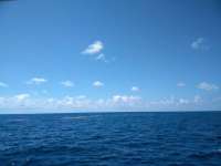 Great day of scuba diving in Key Largo with Rainbow Reef on benwood wreck tropical odyssey 2018 08 21 r6900 1