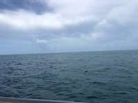 Great day of scuba diving in Key Largo with Rainbow Reef on benwood wreck tropical odyssey 2018 08 25 r6930 1