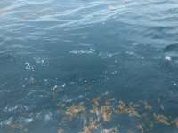 Great day of scuba diving in Key Largo with Rainbow Reef on benwood wreck tropical serenity 2018 08 01 r6708 1