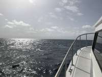 Great day of scuba diving in Key Largo with Rainbow Reef on christ statue tropical destiny 2018 08 08 r6783 1