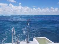 Great day of scuba diving in Key Largo with Rainbow Reef on christ statue tropical odyssey 2018 08 26 r6941 1