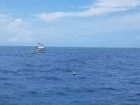 Great day of scuba diving in Key Largo with Rainbow Reef on christmastree cave tropical adventure 2018 08 01 r6709 1