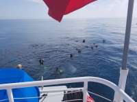 Great day of scuba diving in Key Largo with Rainbow Reef on christmastree cave tropical adventure 2018 08 12 r6815 1