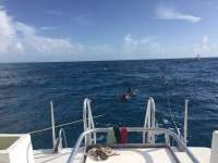 Great day of scuba diving in Key Largo with Rainbow Reef on christmastree cave tropical legend 2018 08 14 r6830 1