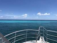 Great day of scuba diving in Key Largo with Rainbow Reef on crf nursery tropical legend 2018 08 22 r6909 1