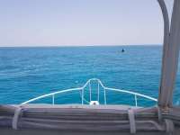 Great day of scuba diving in Key Largo with Rainbow Reef on crf nursery tropical serenity 2018 08 10 r6798 1