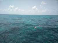 Great day of scuba diving in Key Largo with Rainbow Reef on double north tropical adventure 2018 08 08 r6781 1
