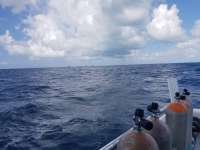 Great day of scuba diving in Key Largo with Rainbow Reef on drift french tropical explorer 2018 08 05 r6745 1