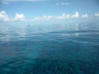 Great day of scuba diving in Key Largo with Rainbow Reef on drift molasses tropical explorer 2018 08 12 r6818 1
