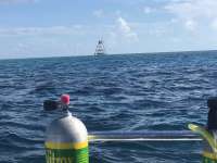Great day of scuba diving in Key Largo with Rainbow Reef on drift molasses tropical explorer 2018 08 19 r6879 1