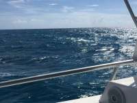 Great day of scuba diving in Key Largo with Rainbow Reef on drift molasses tropical odyssey 2018 08 03 r6723 1