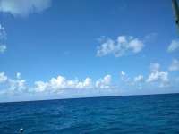 Great day of scuba diving in Key Largo with Rainbow Reef on eagle ray alley santana 2018 08 05 r6748 1