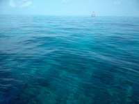 Great day of scuba diving in Key Largo with Rainbow Reef on eagle ray alley santana 2018 08 10 r6794 1