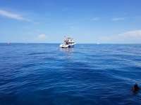 Great day of scuba diving in Key Largo with Rainbow Reef on eagle ray alley tropical adventure 2018 08 11 r6807 1