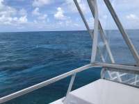 Great day of scuba diving in Key Largo with Rainbow Reef on eagle ray alley tropical legend 2018 08 03 r6725 1