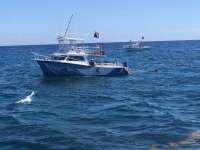 Great day of scuba diving in Key Largo with Rainbow Reef on eagle ray alley tropical legend 2018 08 05 r6753 1