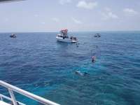 Great day of scuba diving in Key Largo with Rainbow Reef on eagle ray alley tropical legend 2018 08 09 r6787 1