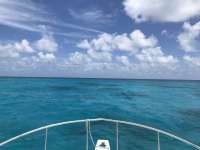 Great day of scuba diving in Key Largo with Rainbow Reef on eagle ray alley tropical odyssey 2018 08 07 r6770 1