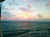Great day of scuba diving in Key Largo with Rainbow Reef on eagle ray alley tropical odyssey 2018 08 16 r6856 1