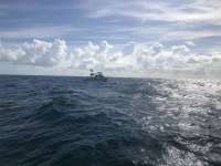 Great day of scuba diving in Key Largo with Rainbow Reef on eagle ray alley tropical serenity 2018 08 04 r6731 1