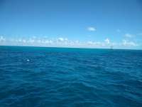 Great day of scuba diving in Key Largo with Rainbow Reef on fire coral cave tropical adventure 2018 08 06 r6759 1