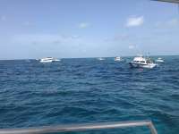 Great day of scuba diving in Key Largo with Rainbow Reef on fire coral cave tropical legend 2018 08 08 r6777 1