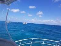 Great day of scuba diving in Key Largo with Rainbow Reef on fire coral cave tropical odyssey 2018 08 16 r6853 1