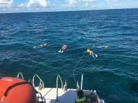 Great day of scuba diving in Key Largo with Rainbow Reef on fire coral cave tropical serenity 2018 08 06 r6755 1
