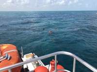 Great day of scuba diving in Key Largo with Rainbow Reef on french reef tropical legend 2018 08 08 r6782 1