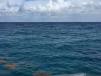 Great day of scuba diving in Key Largo with Rainbow Reef on french reef tropical odyssey 2018 08 03 r6729 1