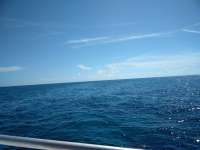 Great day of scuba diving in Key Largo with Rainbow Reef on french reef tropical odyssey 2018 08 24 r6926 1